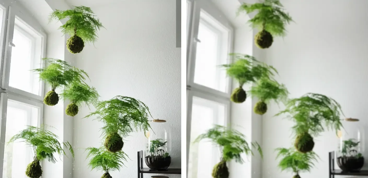 Cette plante japonaise révolutionne la déco : oubliez pots et terreau pour toujours