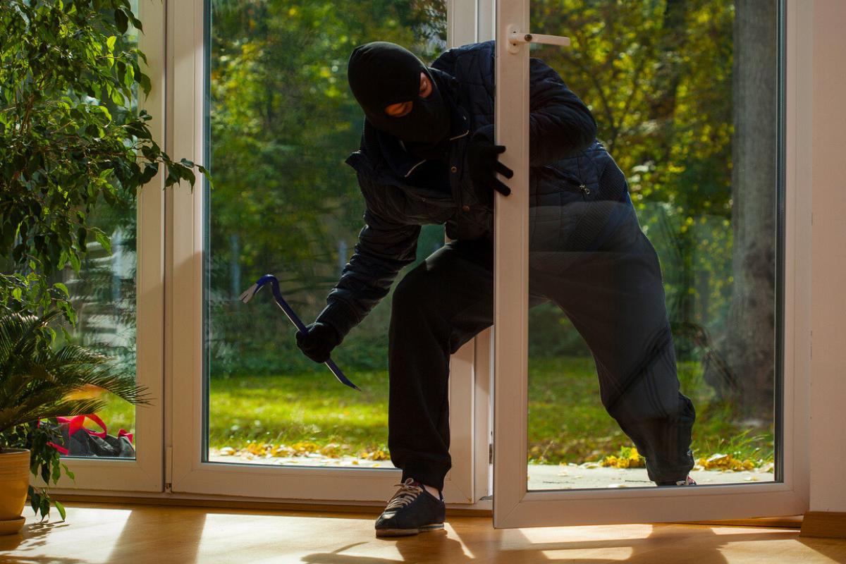 Ni barrière ni alarme : ces arbres dissuadent les cambrioleurs sans effort