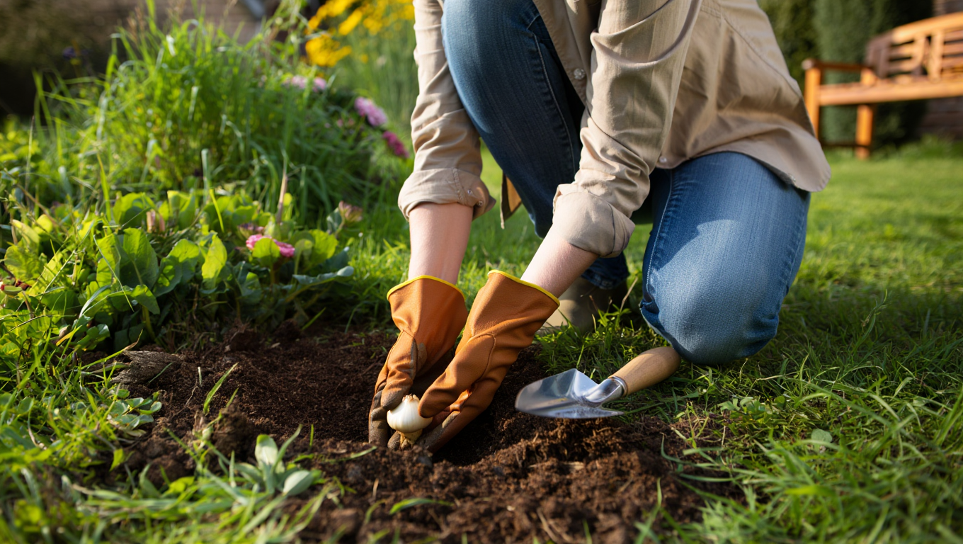 Ces produits ménagers inattendus empêchent les thrips d’attaquer vos bulbes au printemps